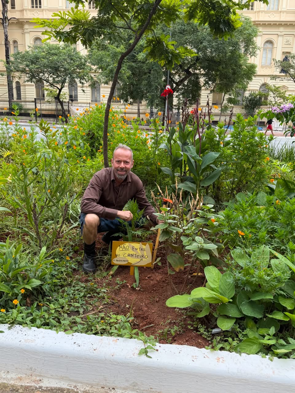 Canteiro verde na Praça da República